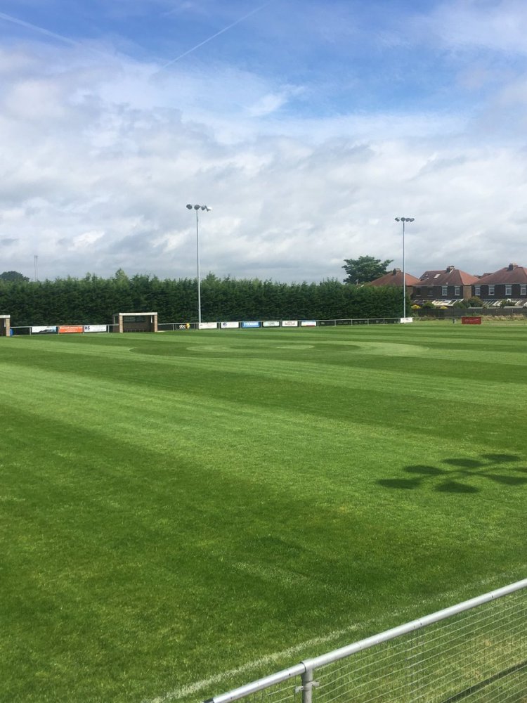 monefields fc pitch.jpg